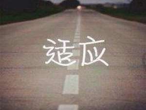 轻抚着我的头发 我还