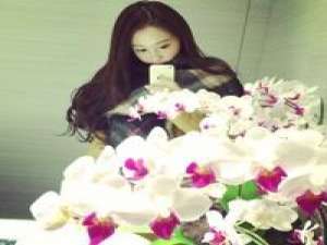 花与美女 孤独怕的是辜负. 七