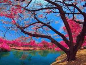 kaka 你的心意过头了，反而