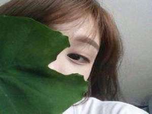 猫旅人 年轻人有三种东西不能