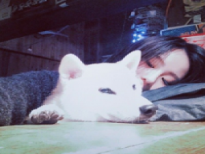 声散无腔 一女士进一宠物店，要