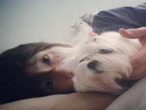 男生头像 不经意的一句话，一段