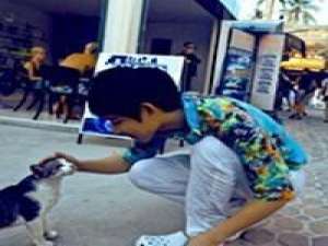 杀过狼，放过虎，曾经