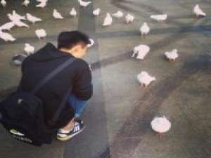 陪你看细水长流 韦小宝和灰太狼的差别