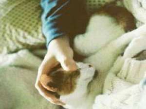 祁轩 我不能左右你，但你却