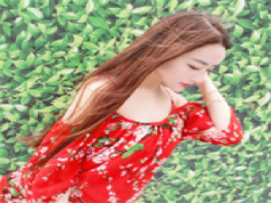 24.世界上最痛苦的