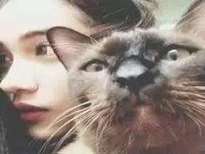 好久不见 我已经胖若