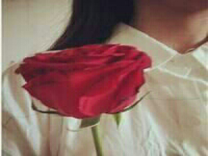 补课真累，这日子没法