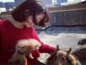 不太多 我带着渺小的心脏和无