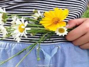 青稚（杂图） 即使我输掉了一切,我