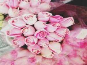 喜欢粉色的人都很有爱、充满童趣。 我们经常忽略那些疼爱