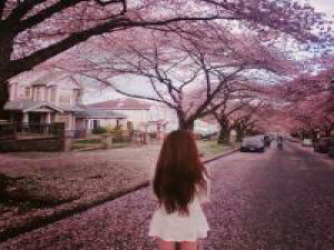 老故事 。每天都这样盲目的过