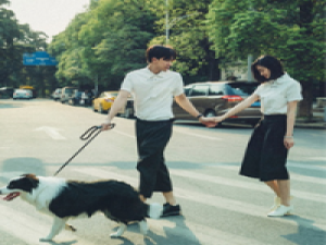 绯靡 假如温柔放手，你是否