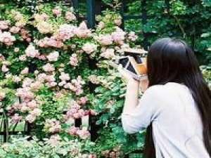 自己找的，不知道合不合胃口。 睹物思人的后半句，永