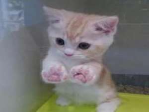 想你没有你的时候，天