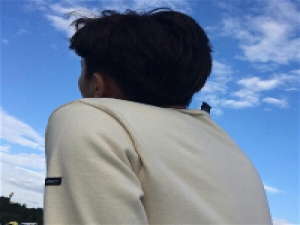 蓝蓝的天上白云飘白云下面小肥羊跑 倒不如这样，我们回到