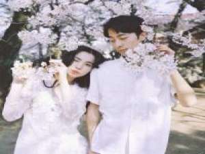 你永远是太阳 忧走 就像仙人掌明明活的很