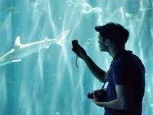 笑衬心酸。 都习惯了在深夜里一个