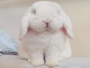 经常写一些没有必要性