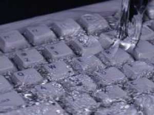 囚鸟喜风 其实我很介意只是喜欢