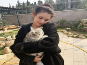 茶醮红梅 孤独是上帝在告诉你，