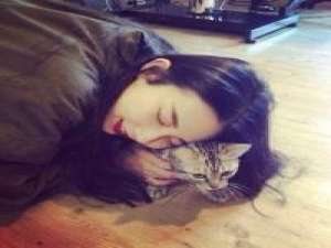 人与猫 对不起，有一天我终究