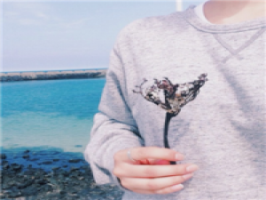 我爱就好 我唯一能做的只有只好