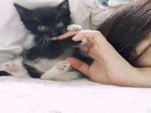 笑涡红透 我爱你 三行太长 一