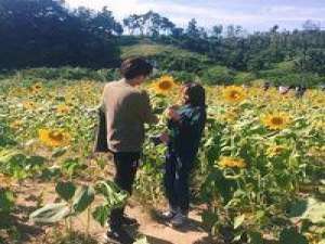 Always be with You 爱情就像剥洋葱 总有