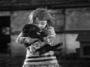 猫尾巷人。 离开你以后我会好自为