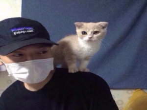 崔信猫. 只是希望以后陪我的还