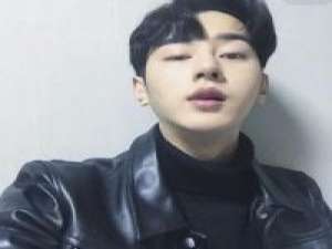 猛虎嗅蔷薇 最美的感情，永远都只