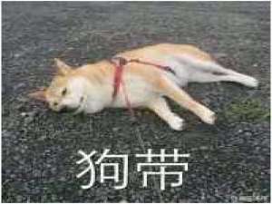 记忆，深入骨髓，伴随