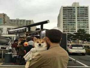 我不想去触碰你伤口的疤只想掀起你的头发 我没有酒也没有茶只有