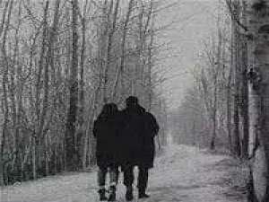 孤独是栖息在床低的野兽，忠诚而自由。 我连自己的事都管不好