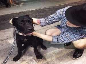 森野 该是无忧的我如今却沧