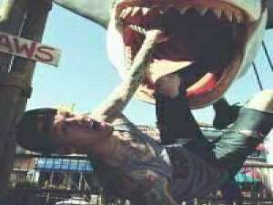 澜本嫁衣 孤独不是一种脾性，而