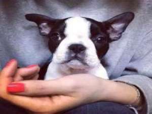 看上随便拿 离开后，别说祝我幸福