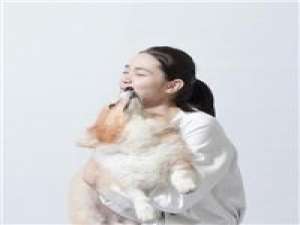 Merry Christmas 是衣不如新或是人不如