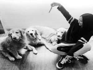 你可以不喜欢，但请别伤害。 當我最想說些什麽的時