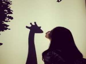 这真的是我用心找的 每天醒来都要比前一天