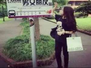 图挺好看大家给花花咯? 你现在翅膀硬了，烤起