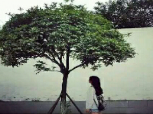 如果爱对了，天天都是