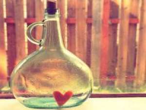 瓶中花 ? 生活好不容易但还在继