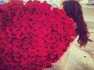 原谅我为别人捧花 我的过去，已成为一抹