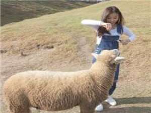 擦肩的过客再也不相逢 别喜欢别人了 喜欢我