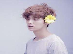 昨天晚上写情书写了一晚 想吻你，然后收点儿封