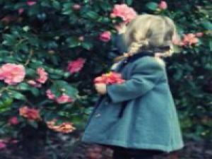 也想有自己的家，给它