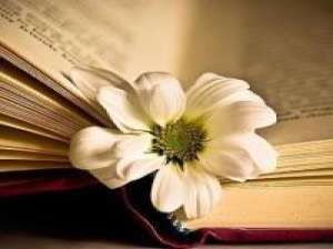 随心°（书香） 感冒的时候，就仰望天