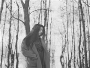 听风说话 你为什么失眠，月色与